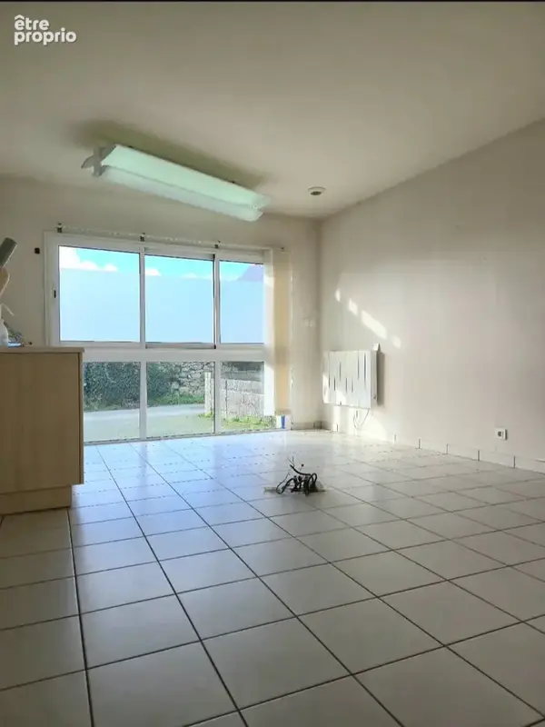 Locaux Commerciaux ou Habitation (PLOUNEVENTER) - photo 11