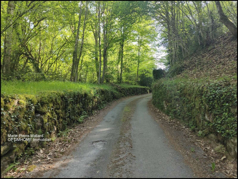Maison familiale + dépendances à Saint Eloi en Creuse - photo 42