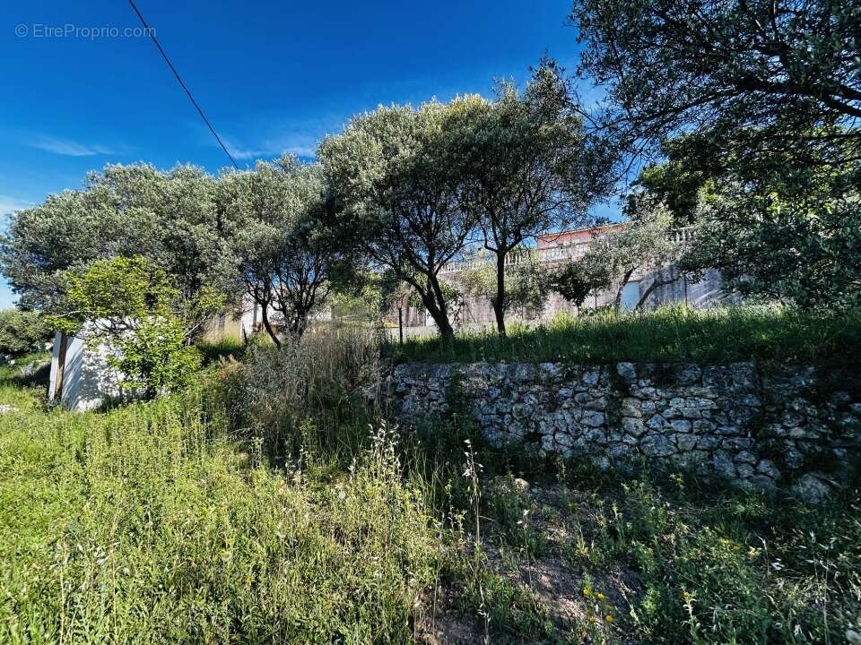 Terrain 1000 m² à Draguignan  - photo 3