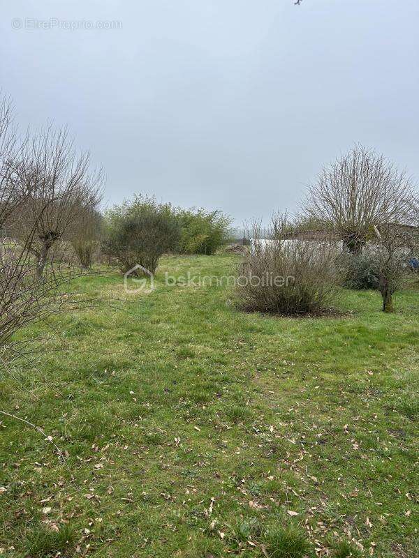 Charmante maison en campagne à Veuves – L'élégance tranquille au cœur de la nature - photo 16