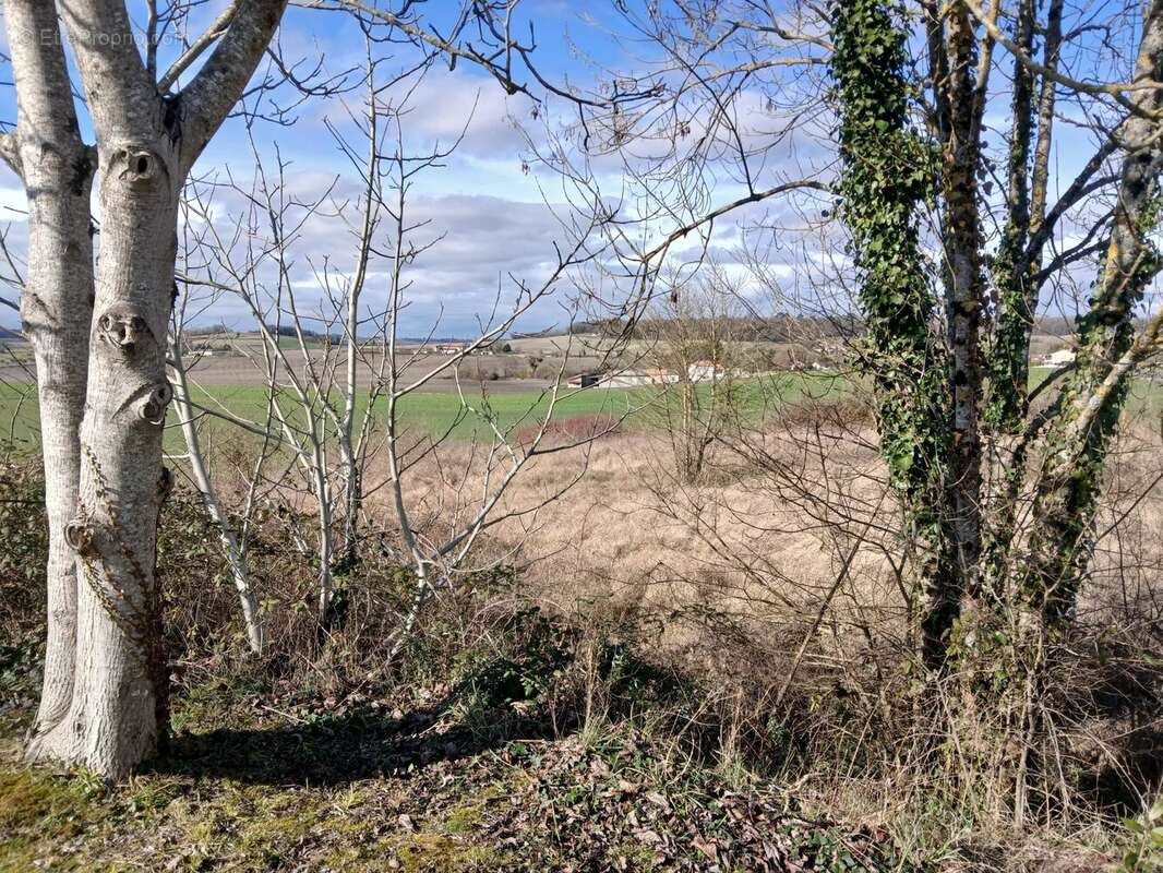 Terrain à SAINT-SEVERIN