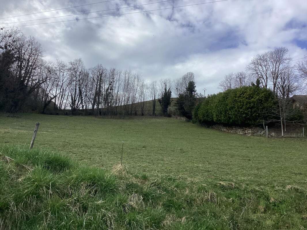 Terrain à COISE-SAINT-JEAN-PIED-GAUTHIER