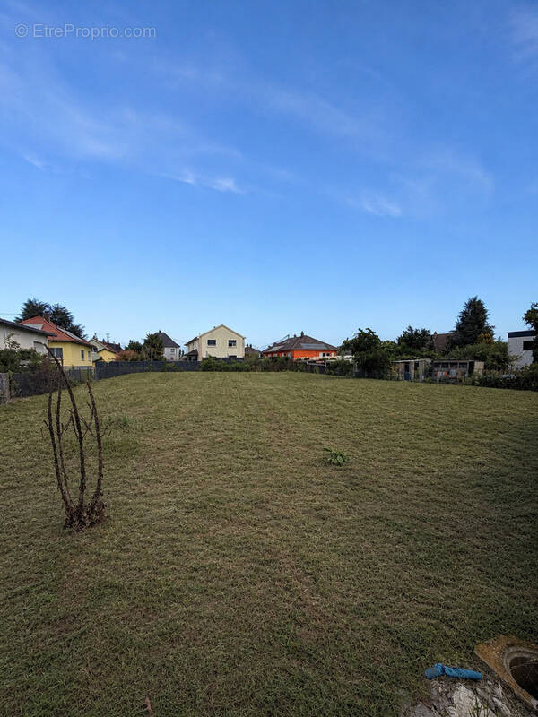 Terrain à SAUSHEIM