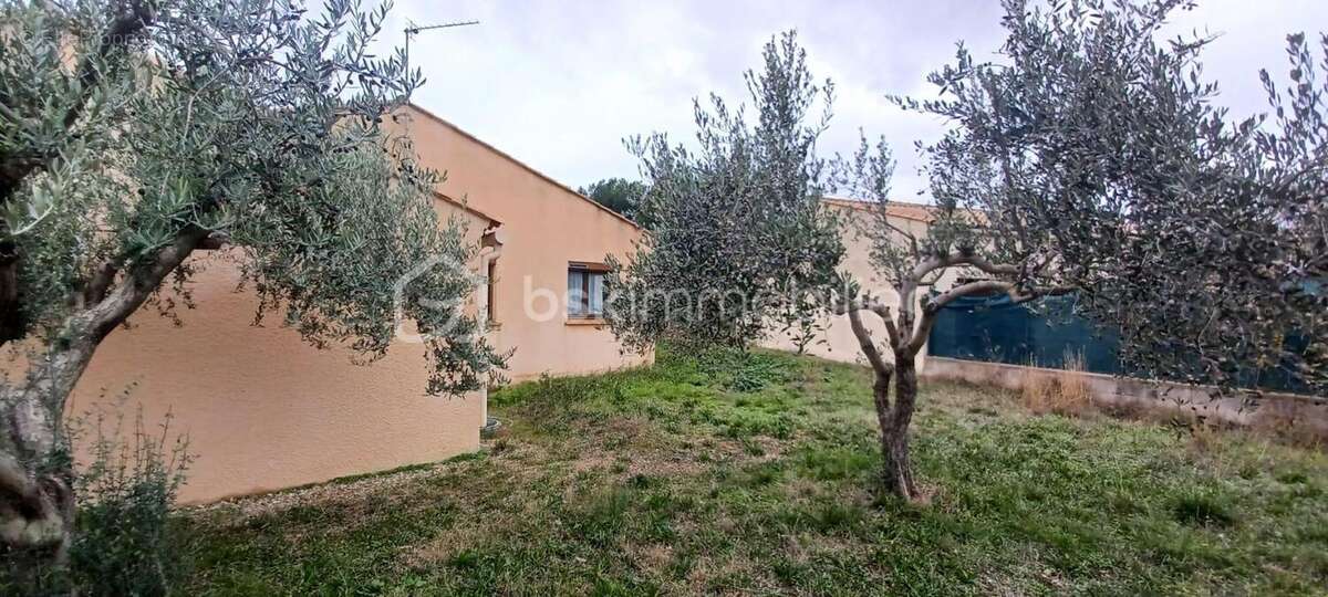 Maison à SAINT-ANDRE-DE-SANGONIS