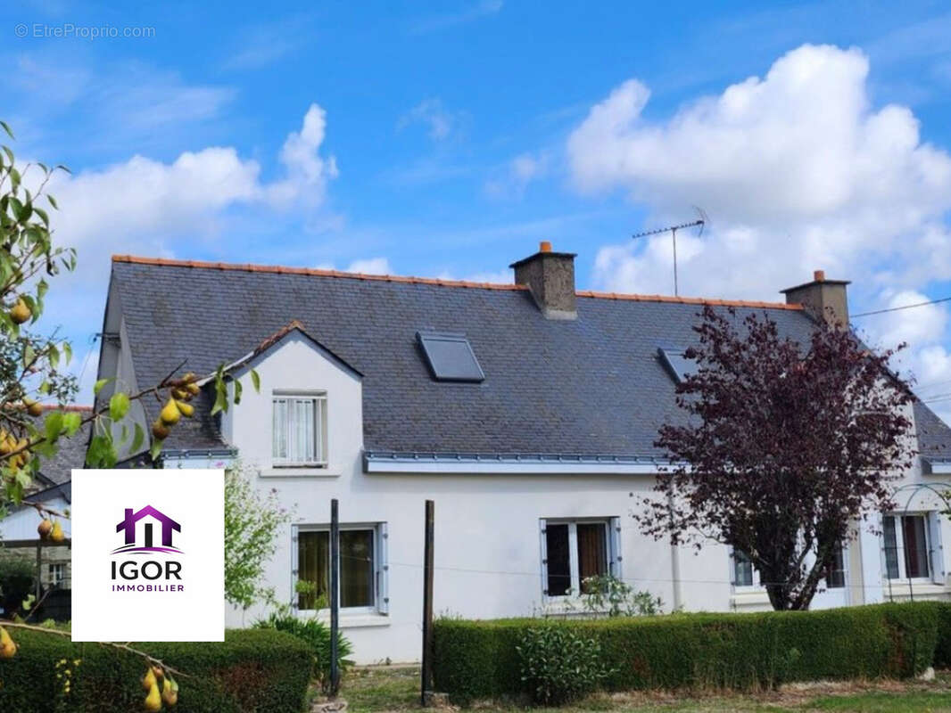 Maison à CHATEAUBRIANT