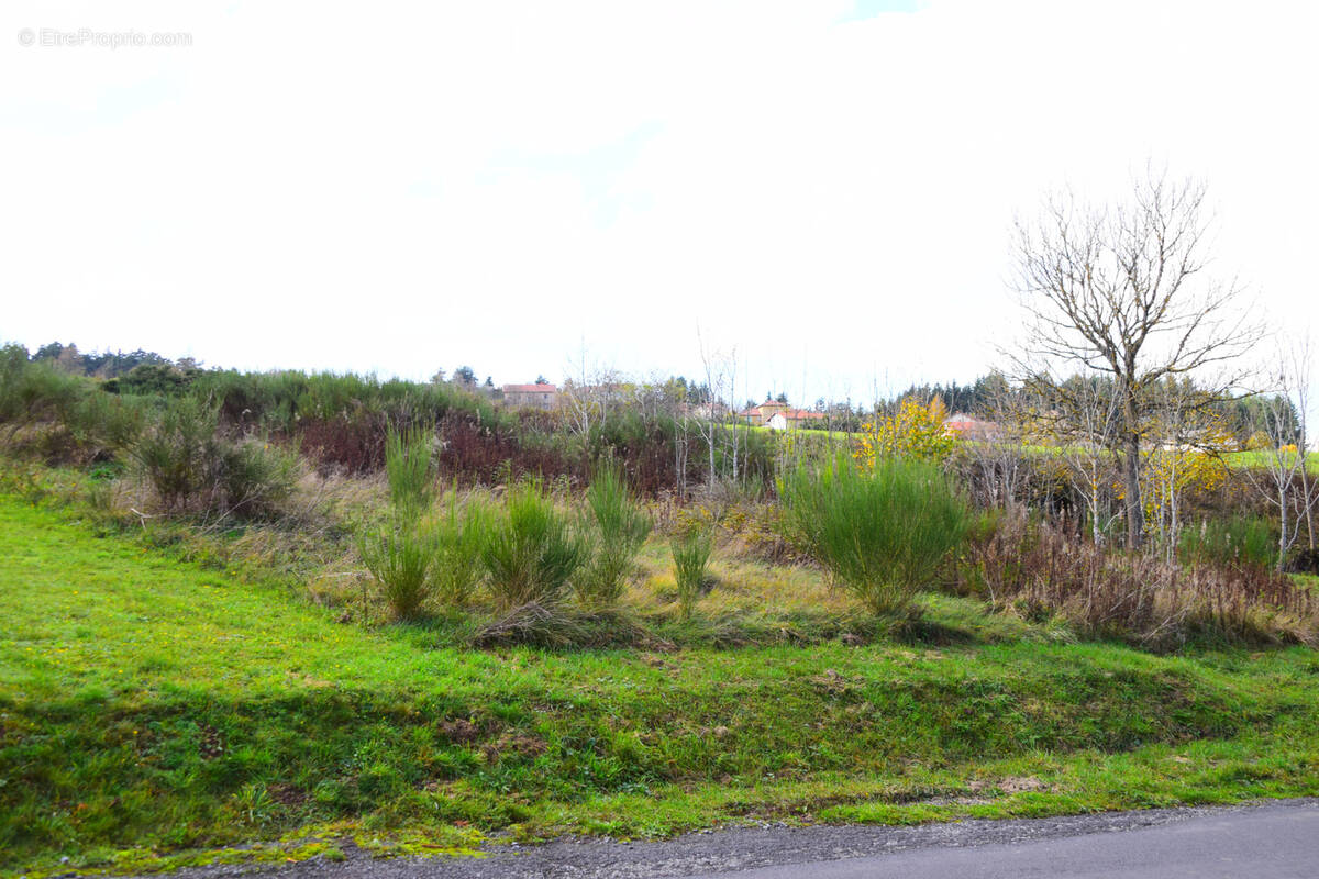 Terrain à COUCOURON