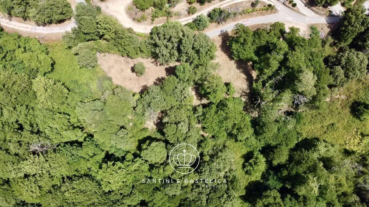 Terrain constructible de 1 641 m² à Vero en Corse-du-Sud : une opportunité rare entre mer et montagne - photo 6