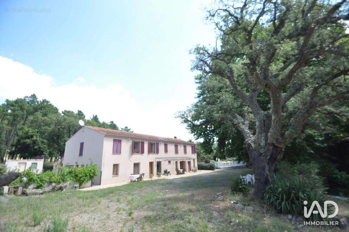 Photo 4 - Commerce à BORMES-LES-MIMOSAS