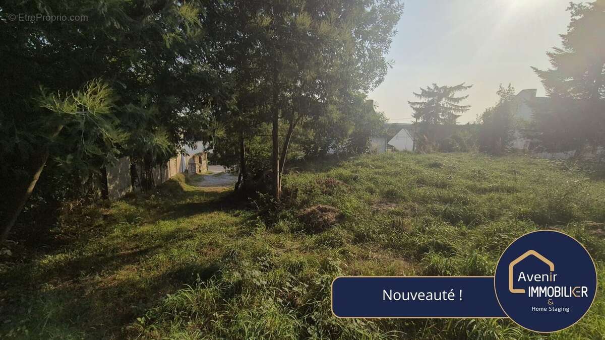 Terrain à SAVENAY