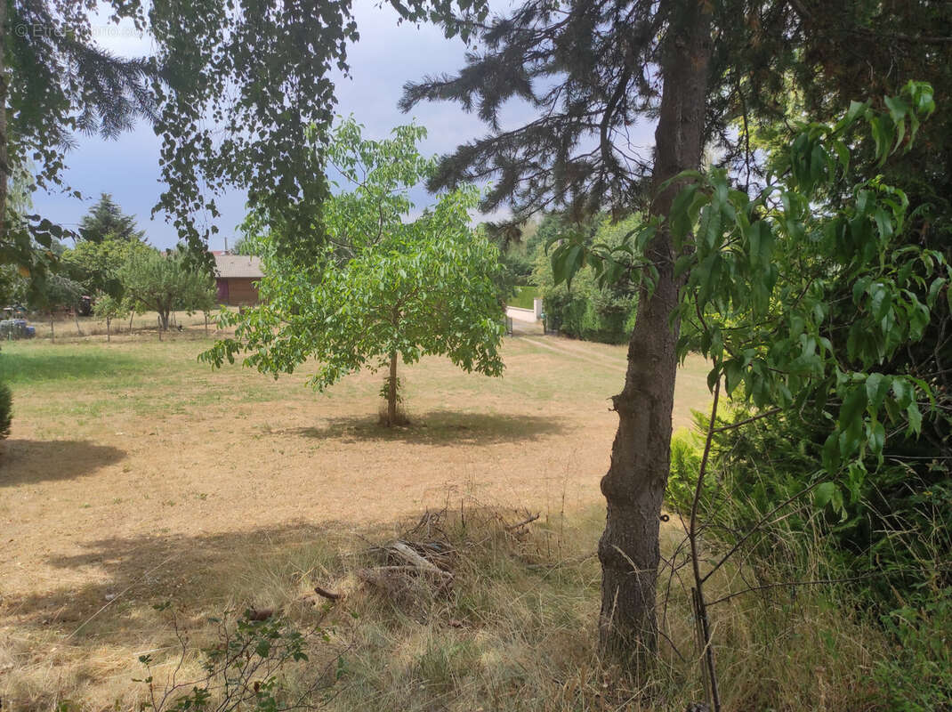 Maison de 1985 sur sous-sol complet avec grand terrain - photo 5