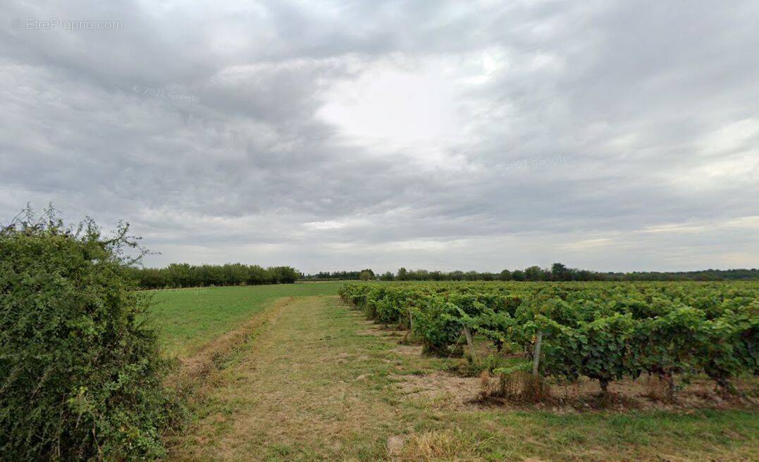 Terrain à NOTRE-DAME-D&#039;ALLENCON