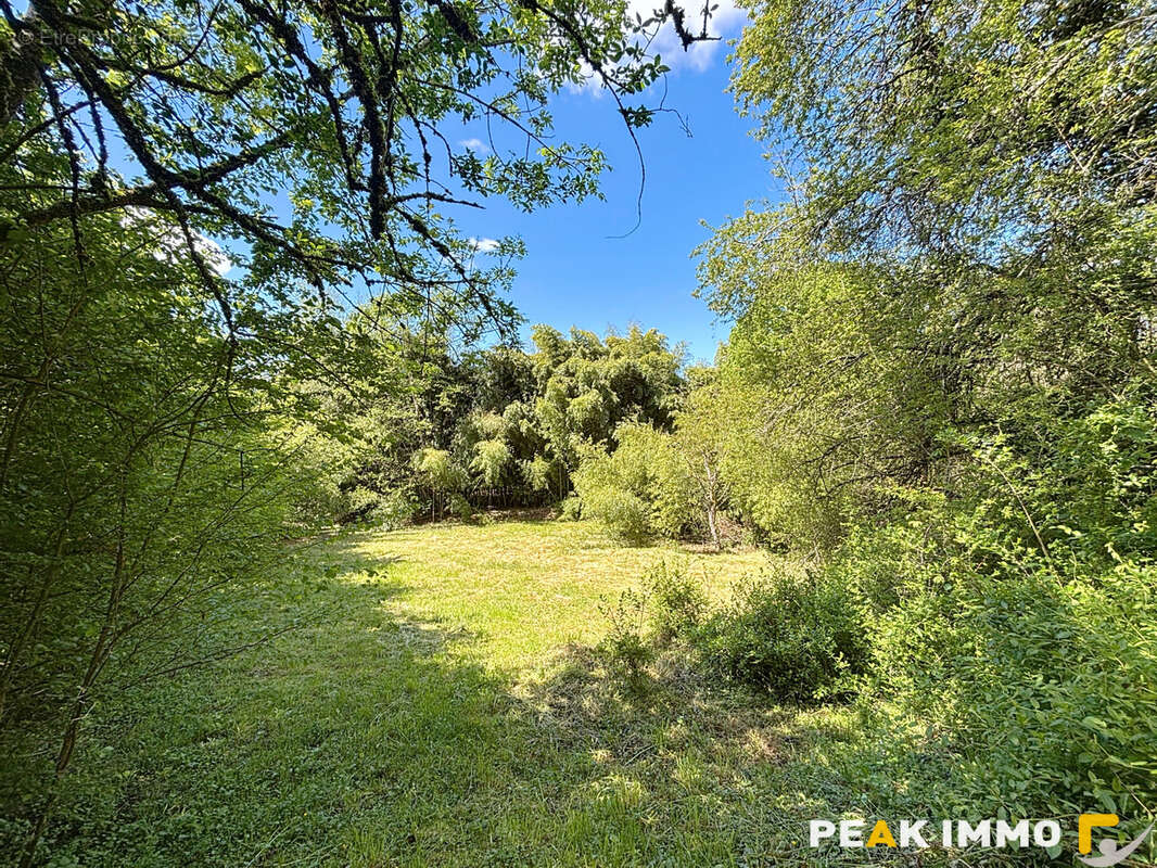 Terrain constructible 1762 m2 - Chindrieux - photo 6