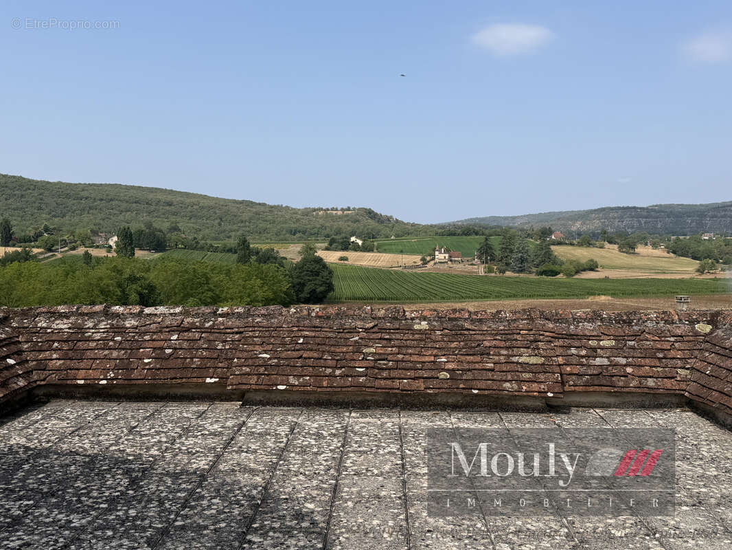 Chateau  avec vue exceptionnelle sur le lot - photo 48