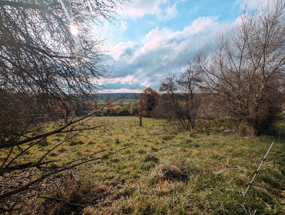 Terrain à MIRECOURT