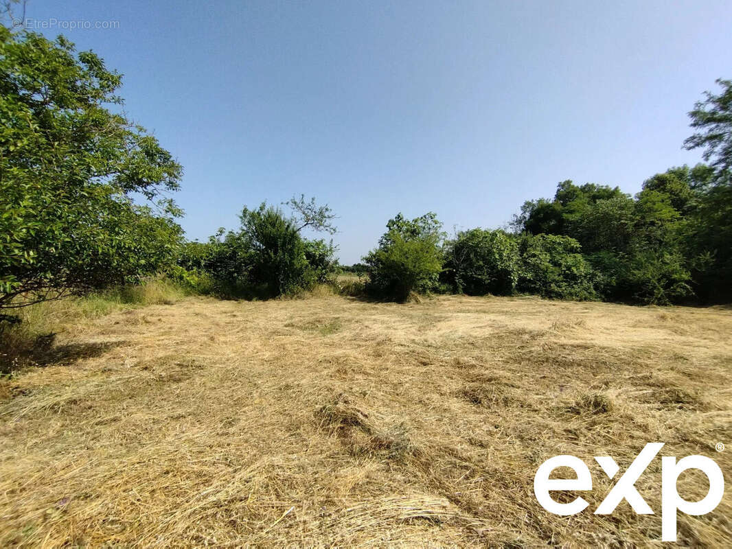 Terrain à CASTELNAU-MONTRATIER