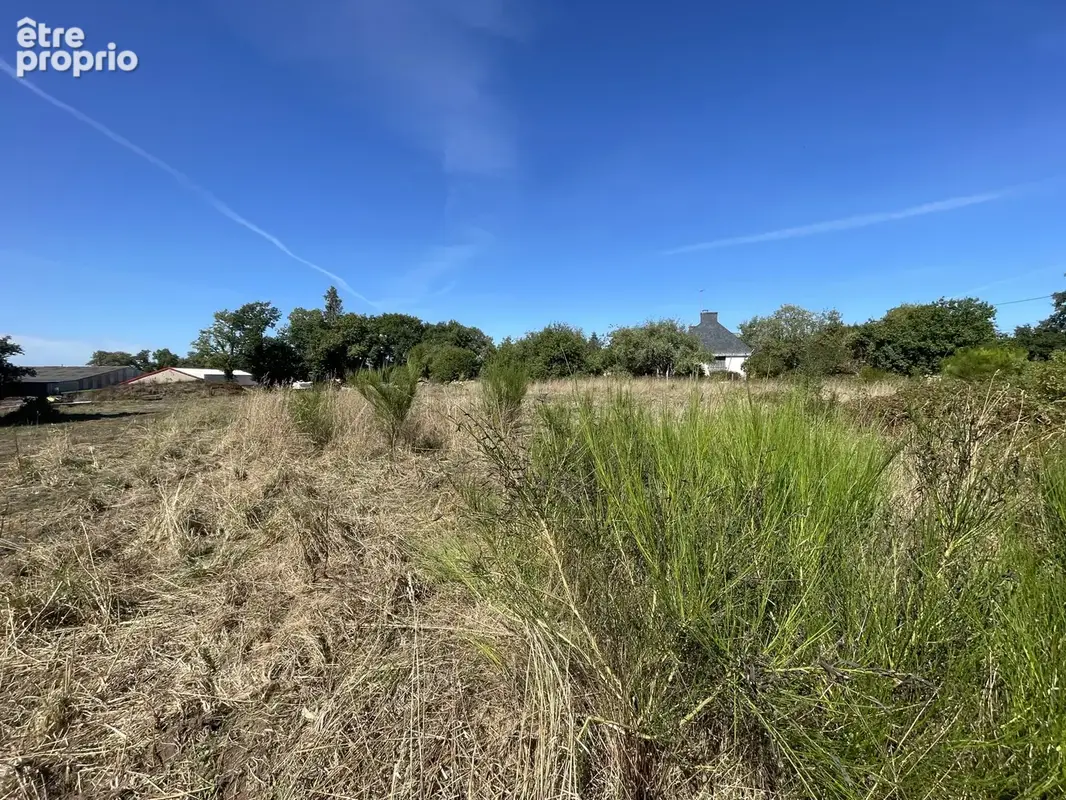 TERRAIN de 2000m2 à bâtir Proche de PONTIVY. - photo 4