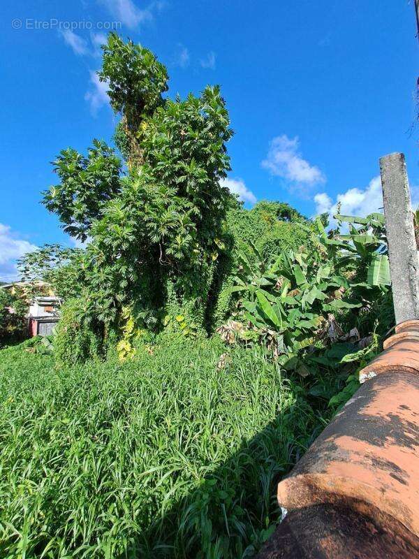 Terrain à FORT-DE-FRANCE