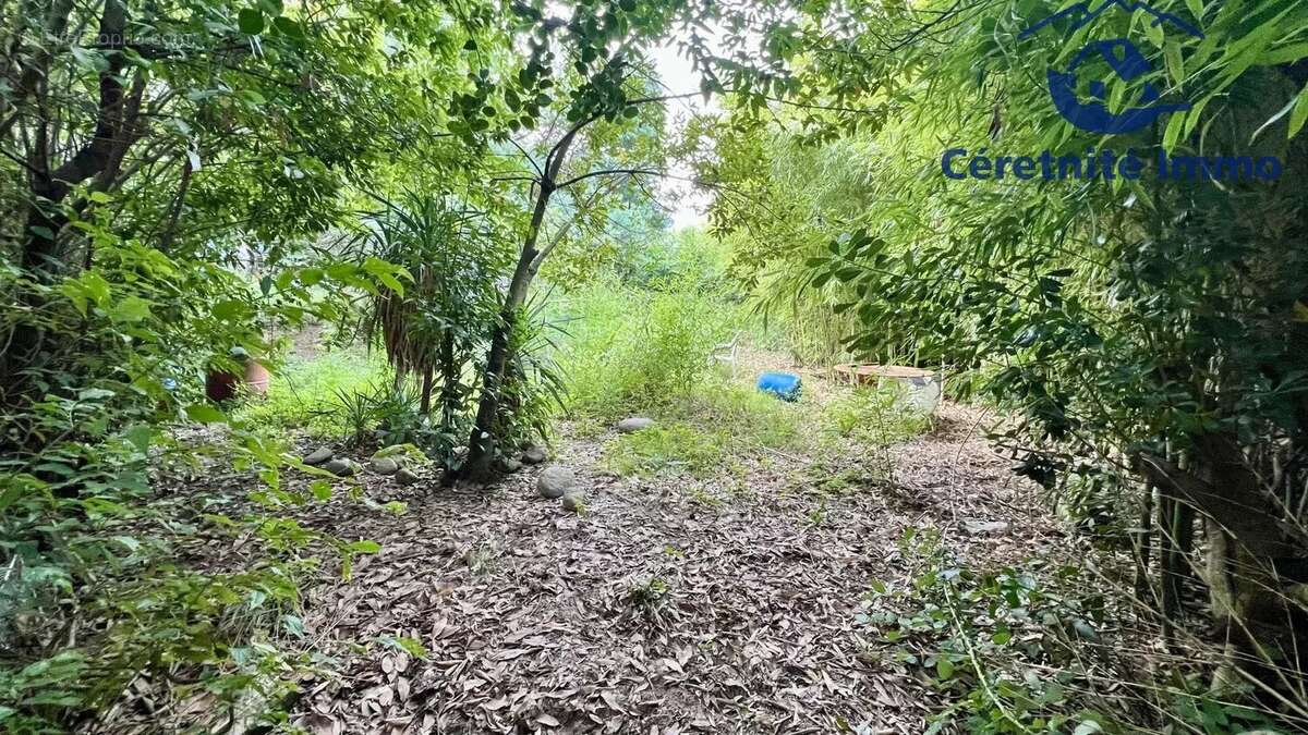 Appartement à AMELIE-LES-BAINS-PALALDA