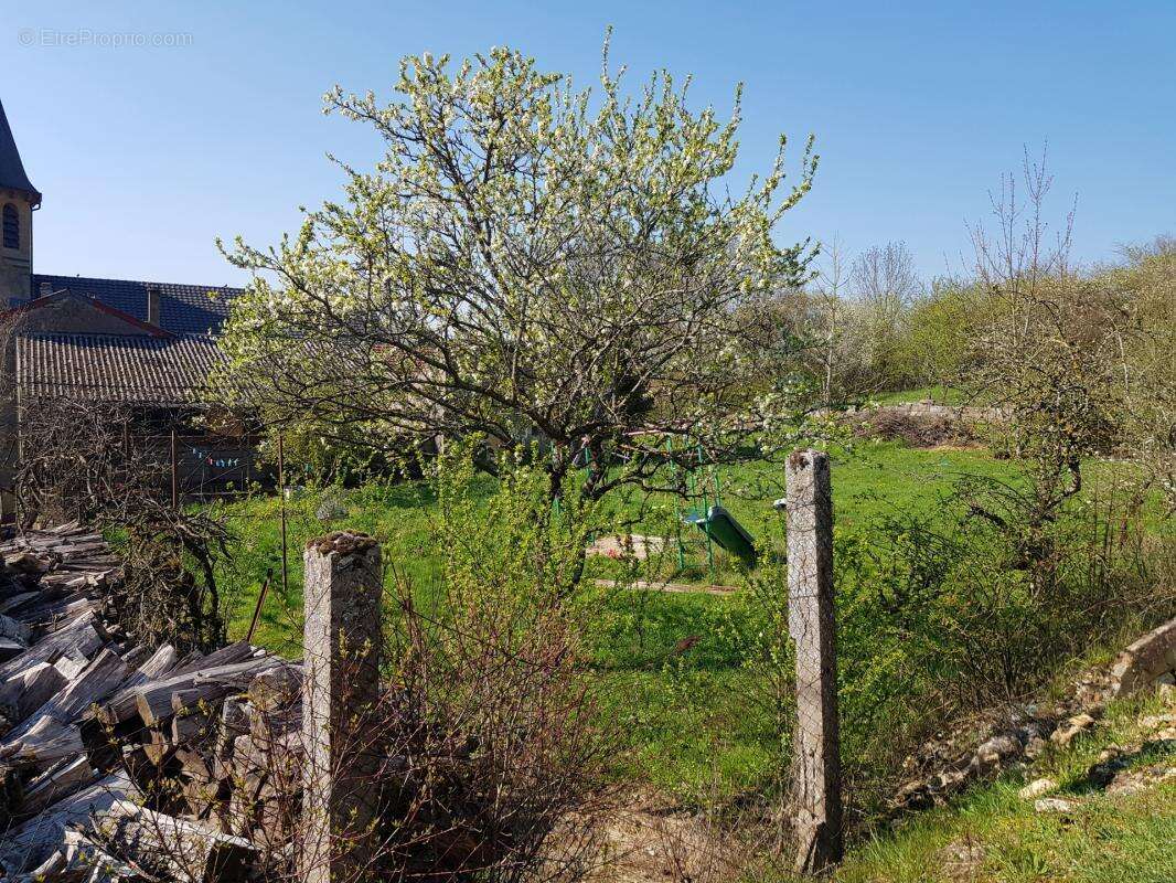 Terrain à SAINT-JULIEN-LES-GORZE
