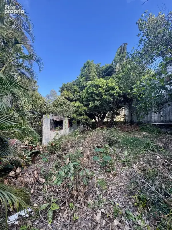 Terrain à LE TAMPON