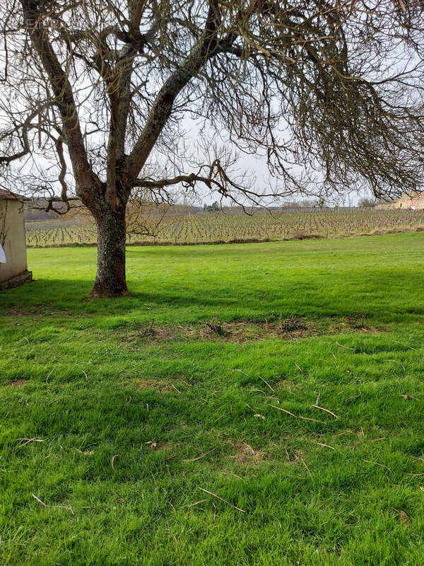 Maison à SAUVETERRE-DE-GUYENNE
