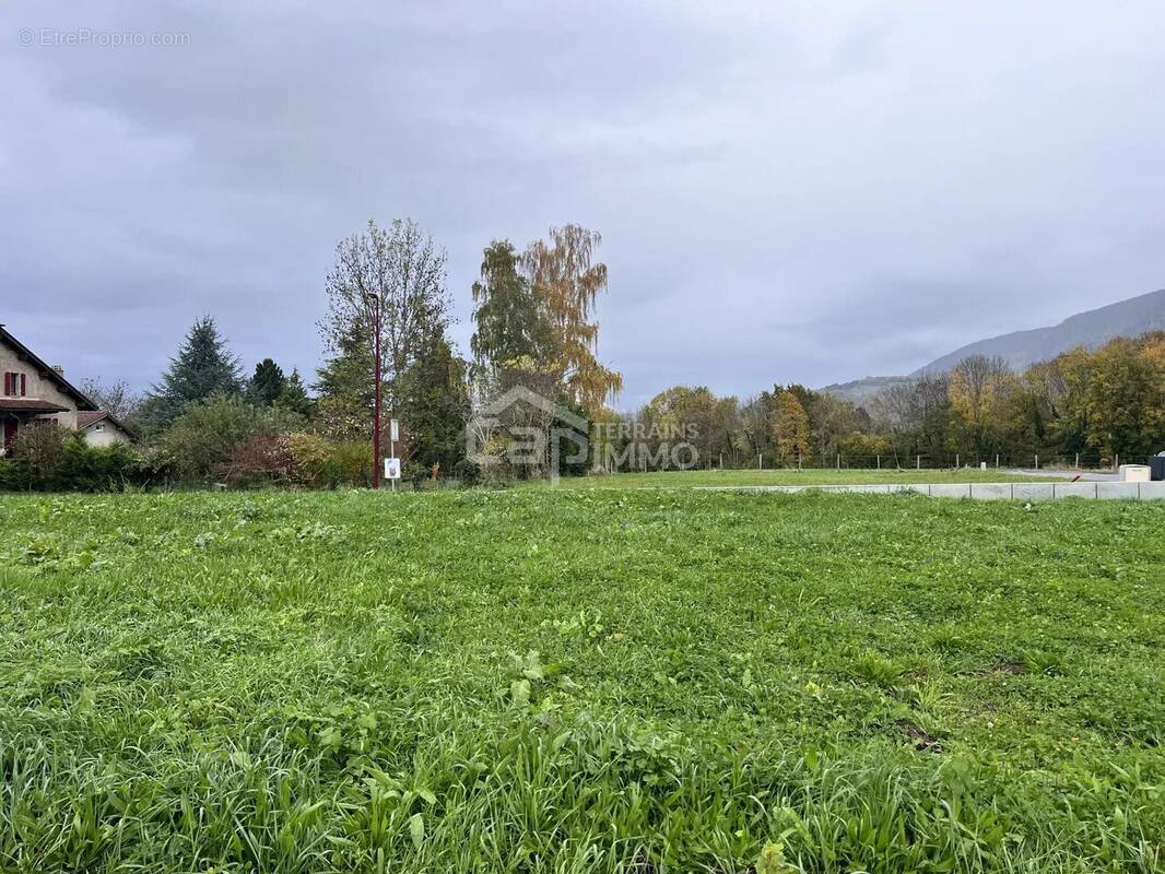 Terrain à DRAILLANT