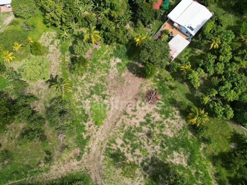 Terrain à LE CARBET