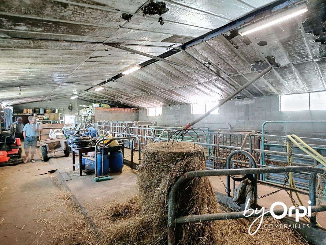 Maison à NERIS-LES-BAINS