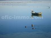 golfe - Maison à SAINT-ARMEL