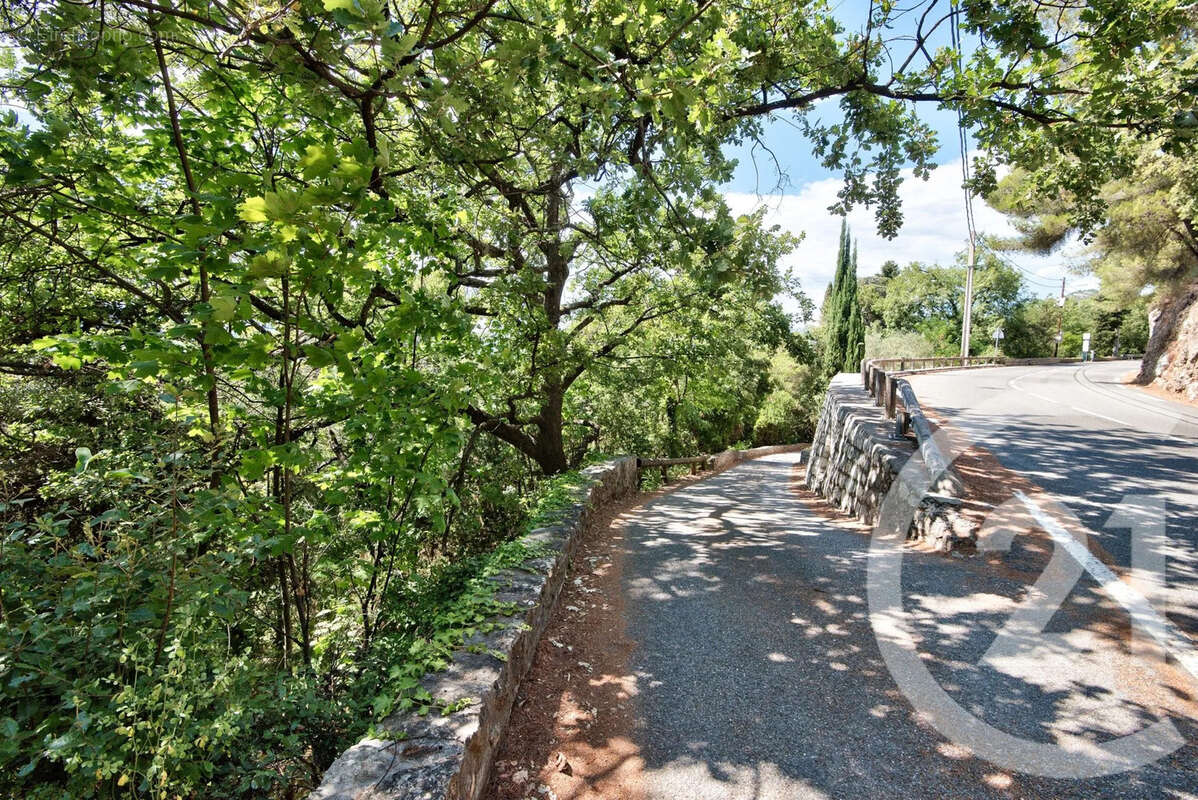 Terrain à ASPREMONT