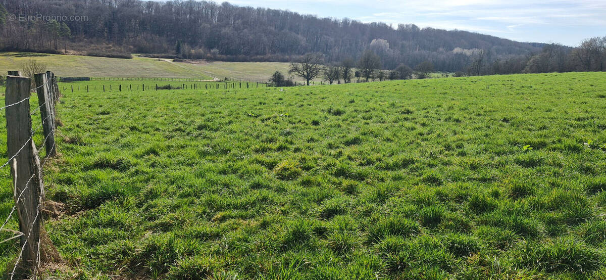 Terrain à SAINT-VIT