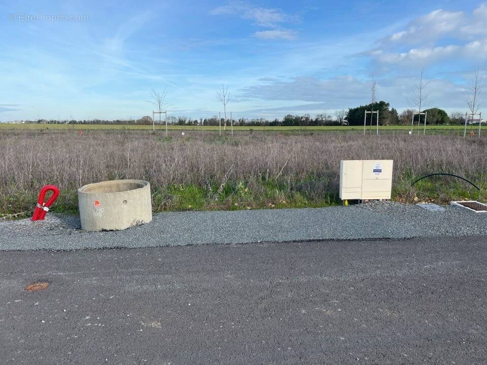 Terrain à L'HOUMEAU