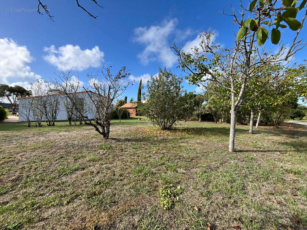 Terrain à SAINT-PIERRE-D&#039;OLERON