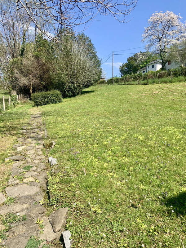 IMG_2435 - Maison à OLORON-SAINTE-MARIE