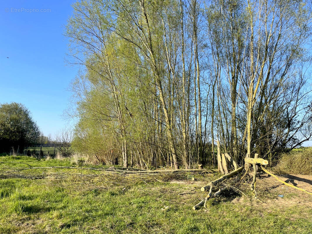 Terrain à CAMPHIN-EN-PEVELE