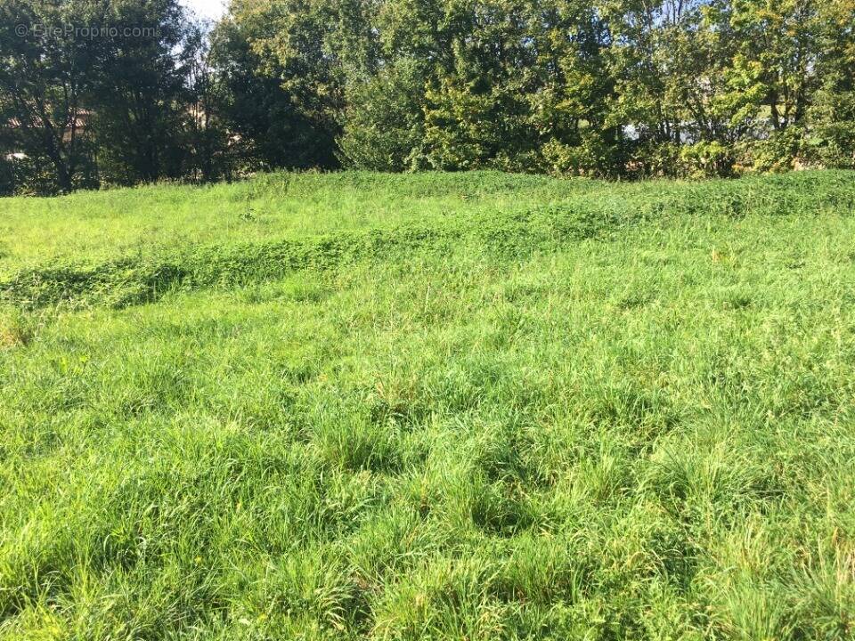 Terrain à CEYZERIAT