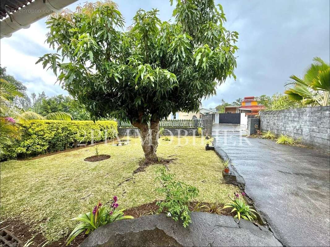 Maison à SAINT-PHILIPPE