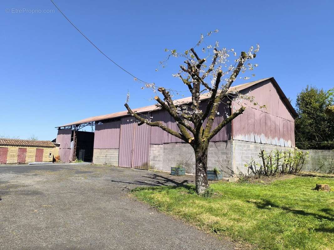 Maison à PAIZAY-NAUDOUIN-EMBOURIE