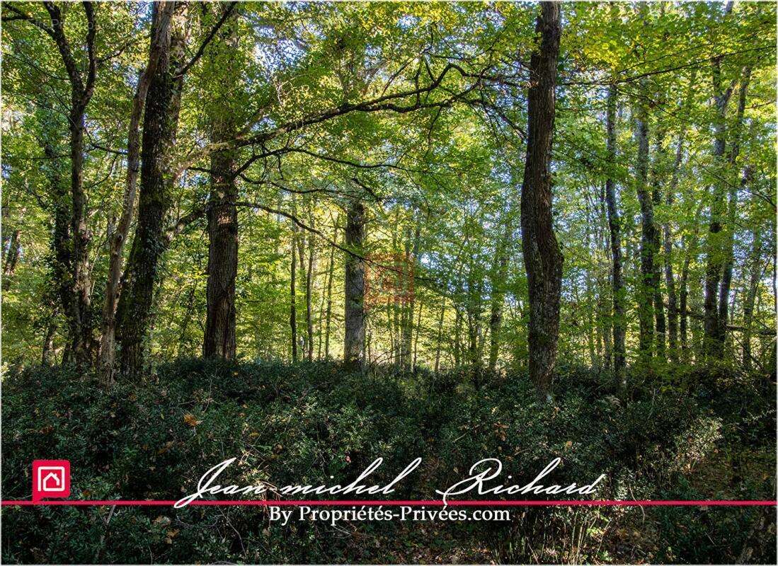 Terrain à GY-EN-SOLOGNE