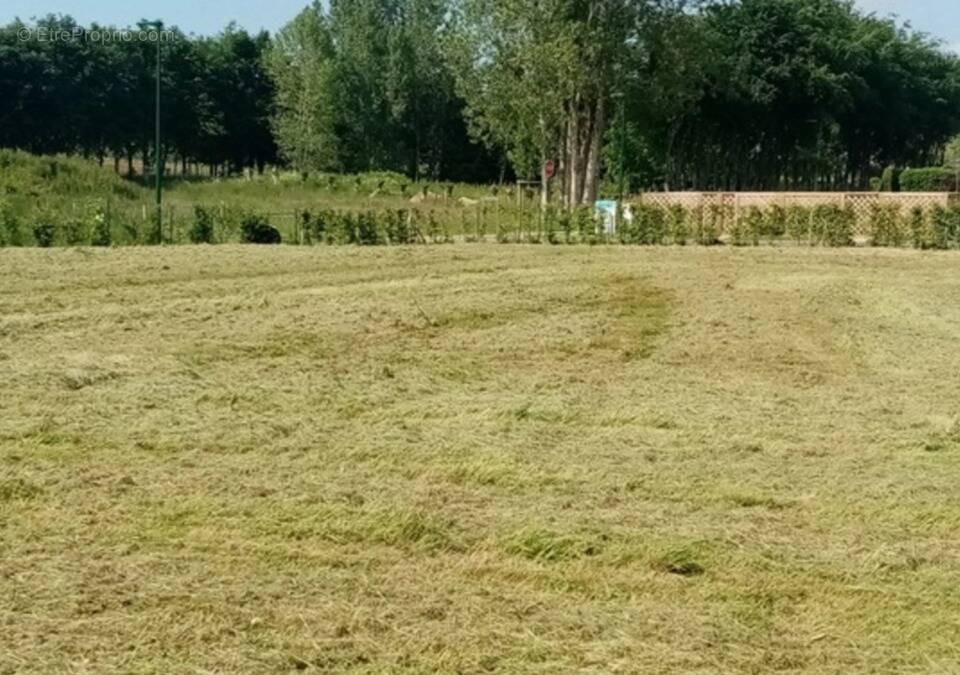 Terrain à AMFREVILLE-LES-CHAMPS