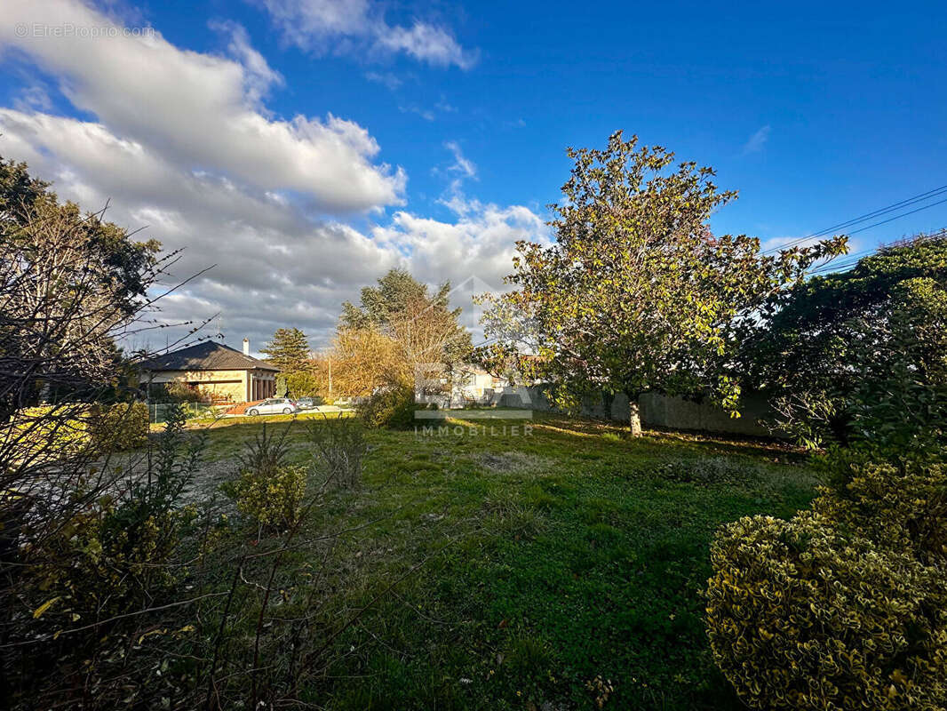 Maison 143m² à bruguières - photo 2