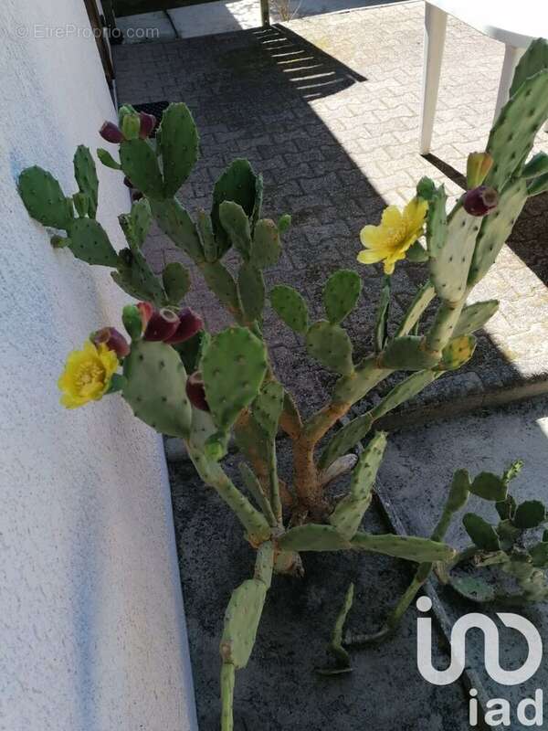 Photo 9 - Maison à LACANAU