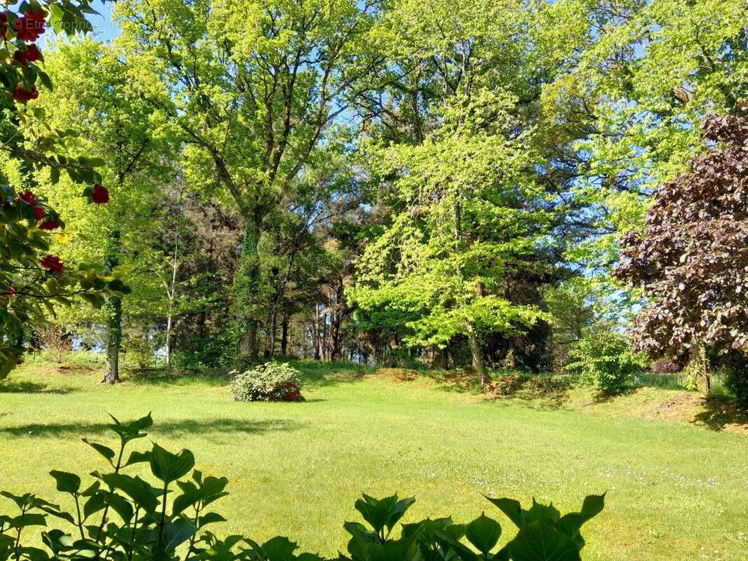 Maison à MALESTROIT