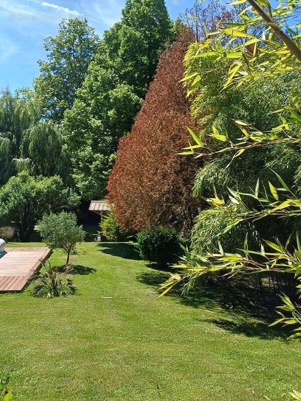 Maison à VOEUIL-ET-GIGET