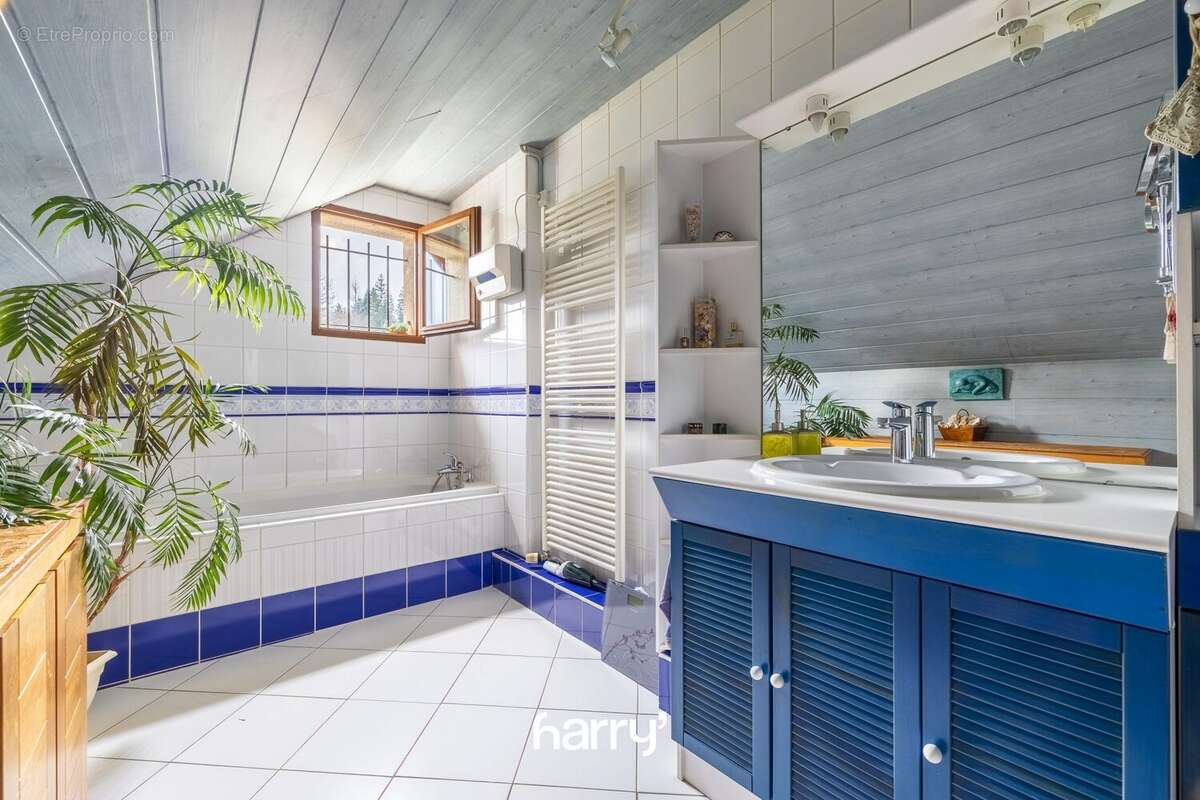 Maison à OYE-ET-PALLET