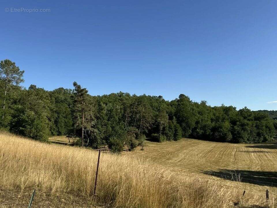 Maison à LES ARQUES