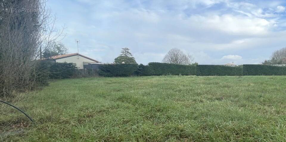 Terrain à SAINT-HILAIRE-DE-RIEZ