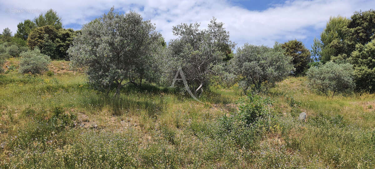 Villa lumineuse sur les hauteurs de Corbieres En Provence - photo 10