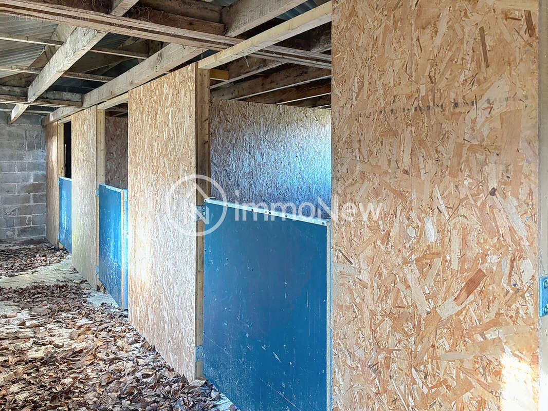 Belle maison a renover avec gite 370 m2 sur terrain de 1 hectare sans voisins - photo 21