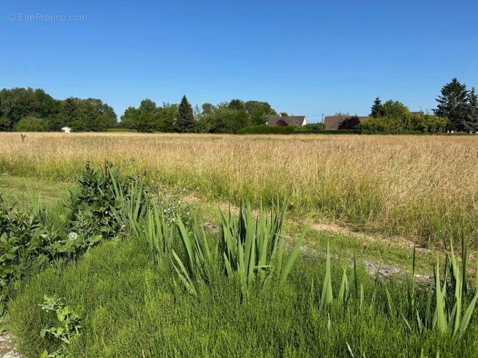 Terrain à LUMIGNY-NESLES-ORMEAUX
